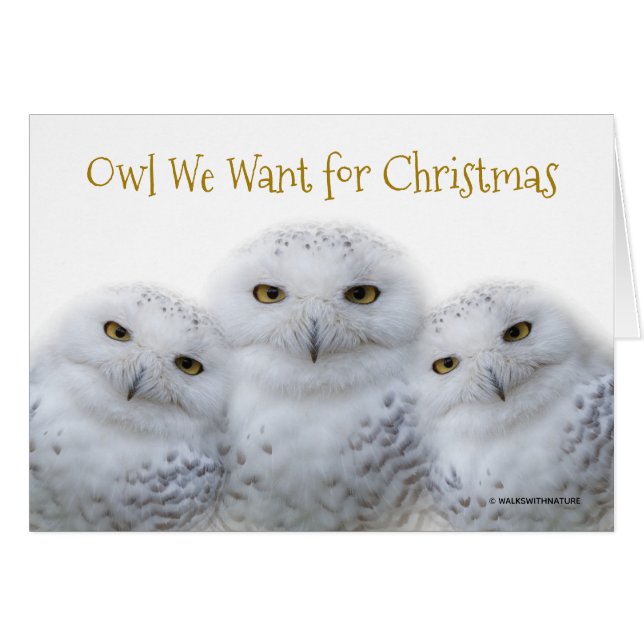 Chouette drôle Nous voulons pour Noël Chouette nei (Devant horizontal)