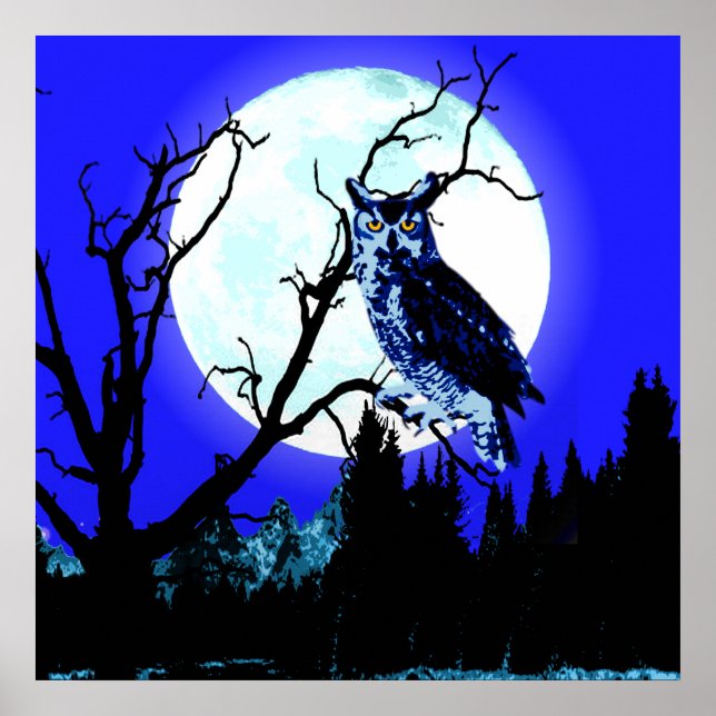 Chouette Lune De Nuit Sur Une Affiche De Branche (Devant)