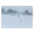 Chouette Neige En Vol En Hiver