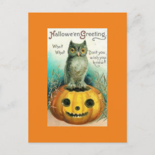 Chouette vintage sur carte postale Halloween Citro