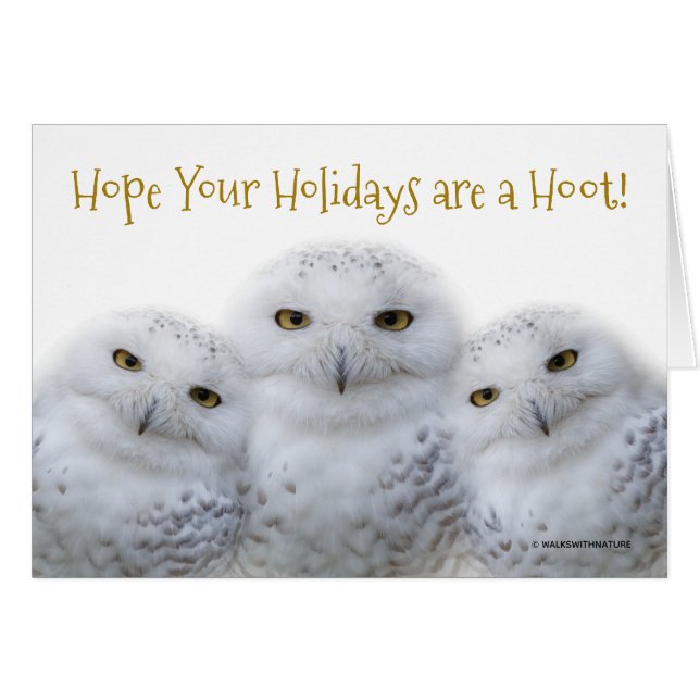Chouettes de neige rêvées La famille de Noël se fa (Devant horizontal)