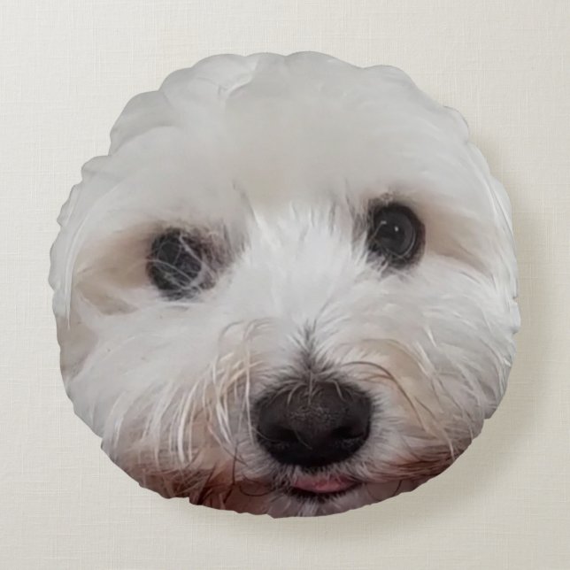 Choupy Maltese Round Pillow (Front)