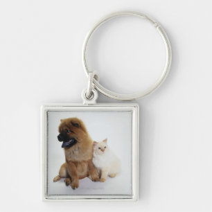 Chow Chow and a White Cat Sitting Together Keychain