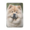 Chow Chow