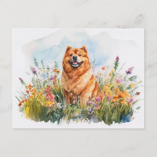 Chow Chow - Carte postale (Devant)
