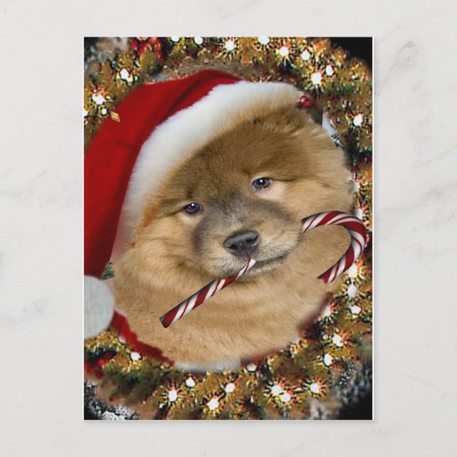 Chow Chow Christmas Candy Cane gifts Holiday Postcard (Front)