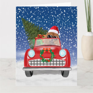 Chow Chow Dog Driving Car In Snow Card