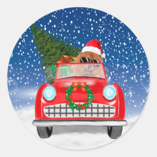 Chow Chow Dog Driving Car In Snow Classic Round Sticker
