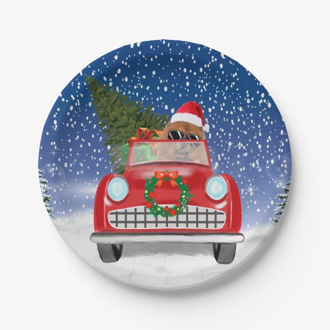 Chow Chow Dog Driving Car In Snow Paper Plate (Front)