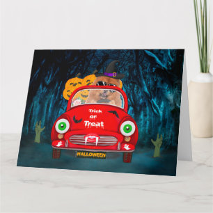 Chow Chow Dog Driving Car Scary Halloween Card