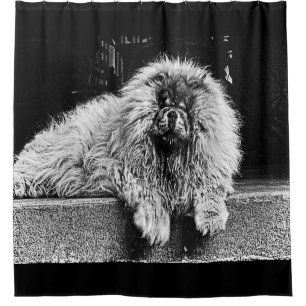 Chow Chow Dog on Porch, Black and White