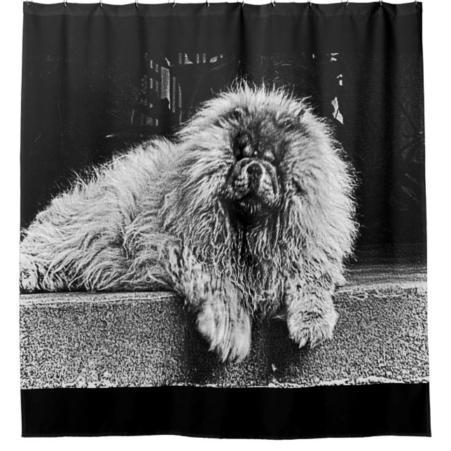Chow Chow Dog on Porch, Black and White (Front)