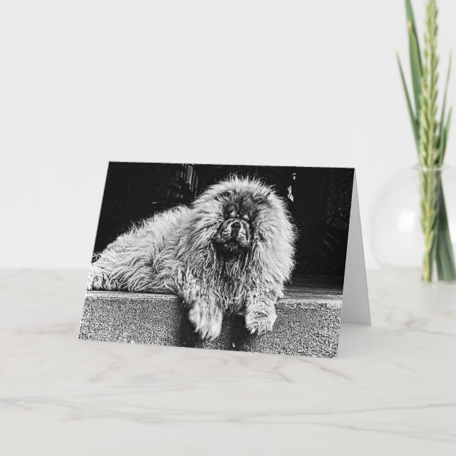 Chow Chow Dog on Porch, Black and White Card (Front)