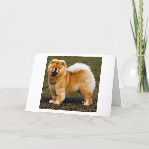 Chow Chow Dog Portrait Blank Greeting Card