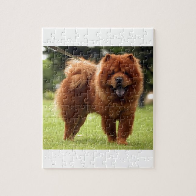 Chow Chow Dog Poses Jigsaw Puzzle (Vertical)