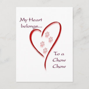 Chow Chow Heart Belongs Postcard