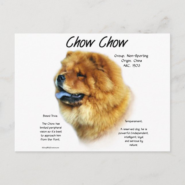 Chow Chow History Design Postcard (Front)
