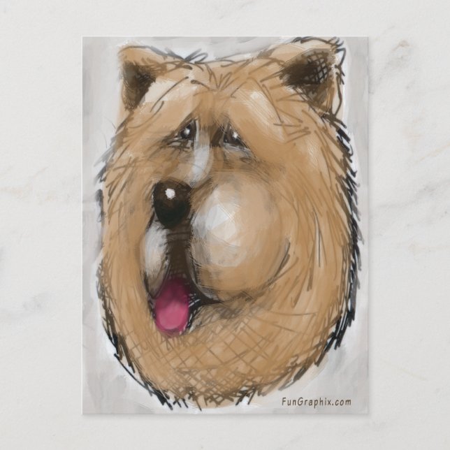 Chow Chow Postcard (Front)