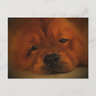 Chow Chow Postcard
