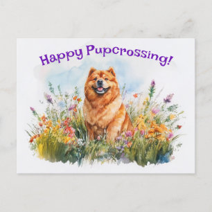 Chow Chow Postcrossing - Postcard