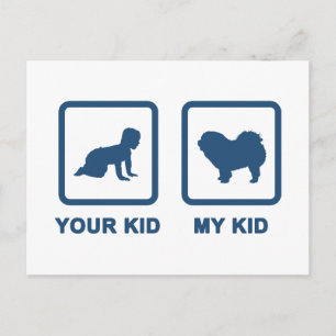 Chow Chow Rough-Coat Postcard