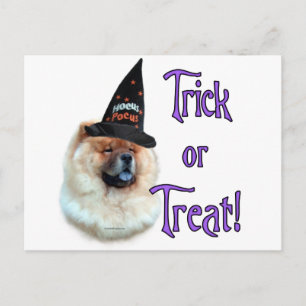 Chow Chow Trick Postcard