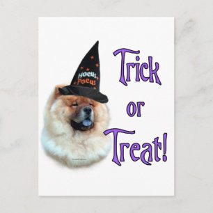 Chow Chow Trick Postcard