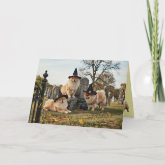 Chow Chow Witch Halloween Card