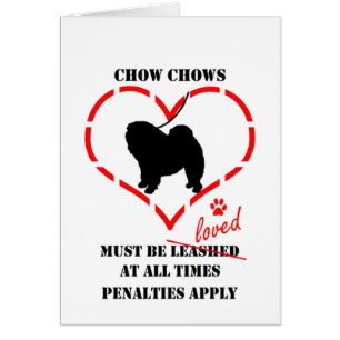 Chow Chows Must Be Loved