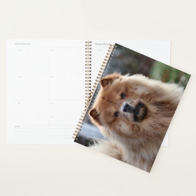 Chow Planner (Display)