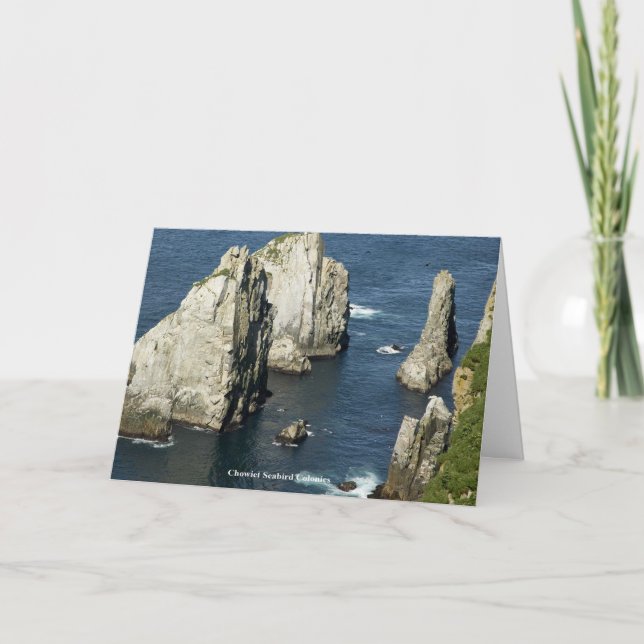 Chowiet Seabird Colonies Alaska General Friendship Thank You Card (Front)