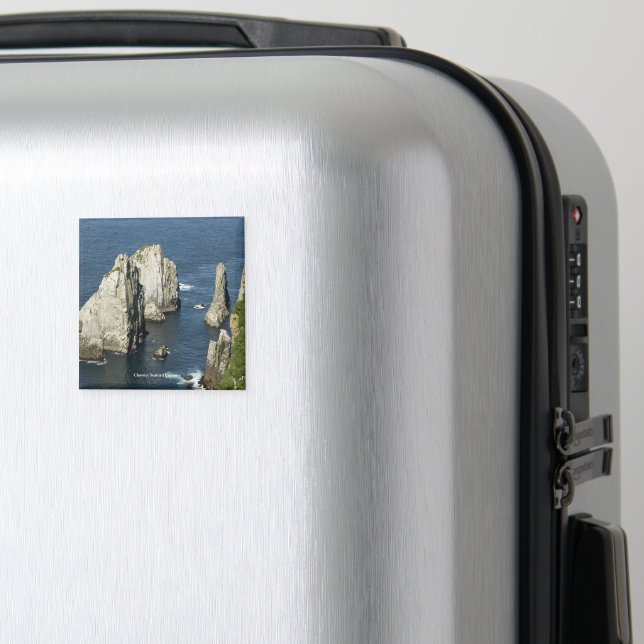 Chowiet Seabird Colonies, Alaska Magnet (In Situ (Luggage))