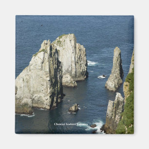 Chowiet Seabird Colonies, Alaska Magnet