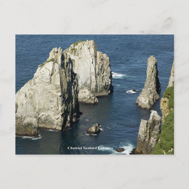 Chowiet Seabird Colonies, Alaska Postcard (Front)