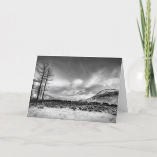 Chrismas Card