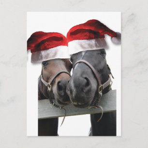 Chrismas Horses With Santa Hats Holiday Postcard