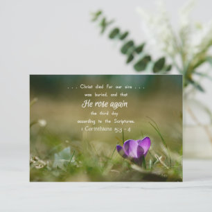 Christ Rose de nouveau carte Crocus