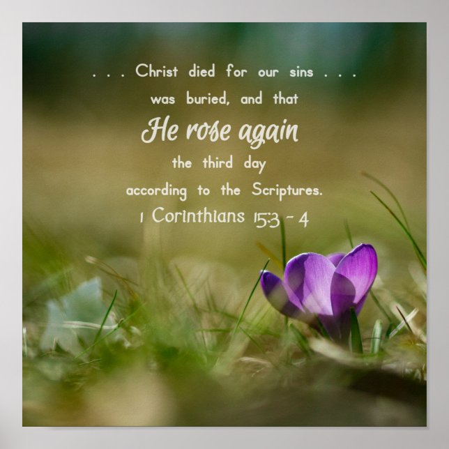 Christ Rose de nouveau Crocus Poster (Devant)