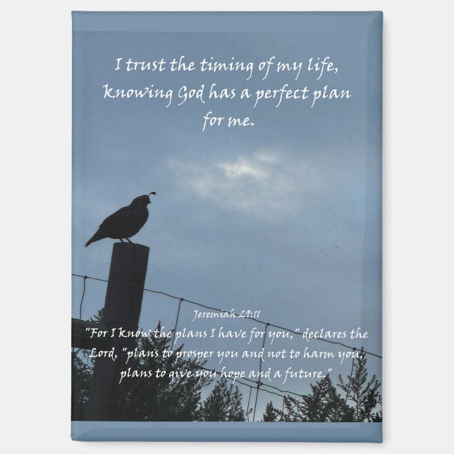 Christian Affirmation Quote & Corresponding Bible Magnet (Front)