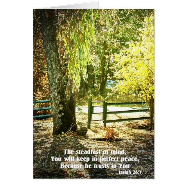 Christian Bible Verse Scripture Creationarts (Front)