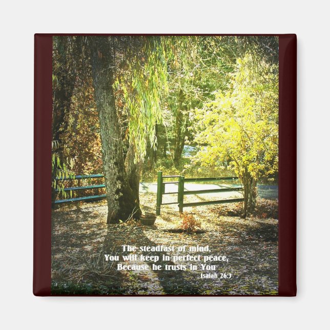Christian Bible Verse Scripture Creationarts Magnet (Front)