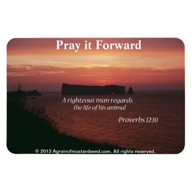 Christian Quotes Inspirational Magnet (Horizontal)