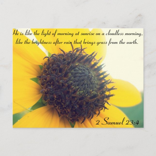 Christian Sunflower Postcard (Front)