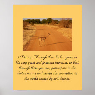 Christianity Scripture 2 Pet 1:4 Poster