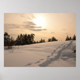 Christman Afternoon Snowy Scene Poster