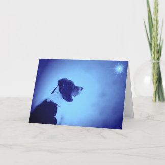 Christmas 2005 holiday card