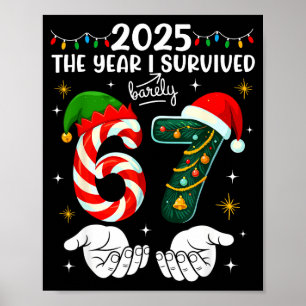 Christmas 2025 The Year Barely Survived Six Seven Poster