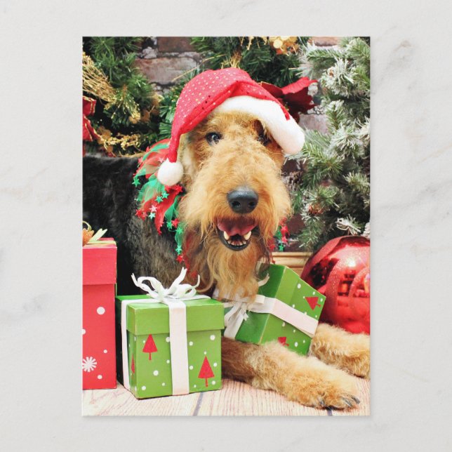 Christmas - Airedale - Kiehn Holiday Postcard (Front)