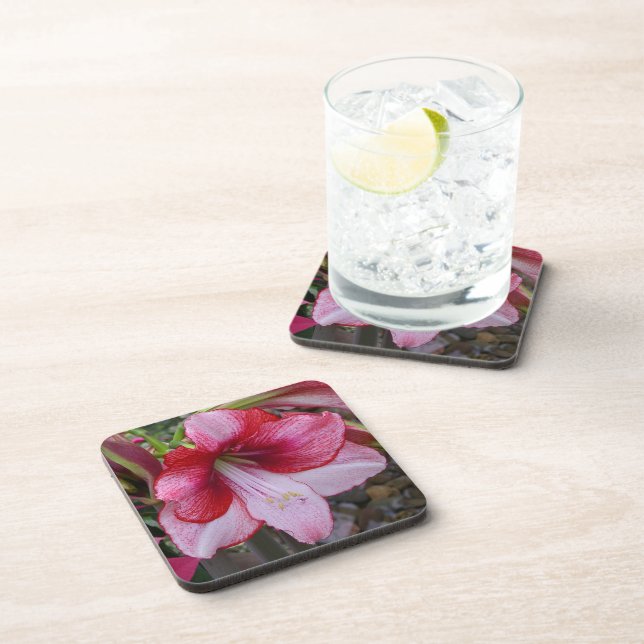 Christmas Amaryllis Red Holiday Floral Coaster (Right Side)