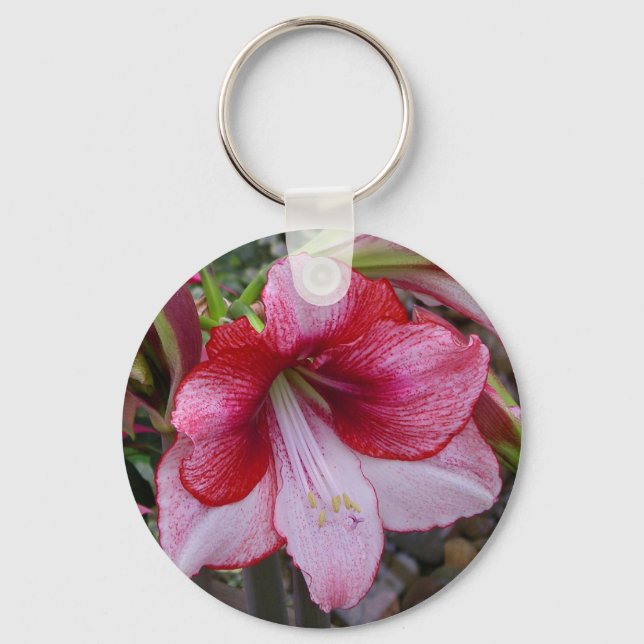 Christmas Amaryllis Red Holiday Floral Keychain (Front)